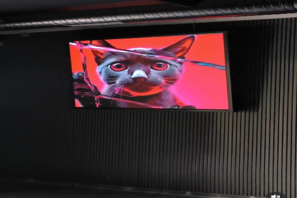 [Dış mekan LED reklam panosu]